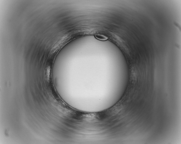 X0000099540118200805301508