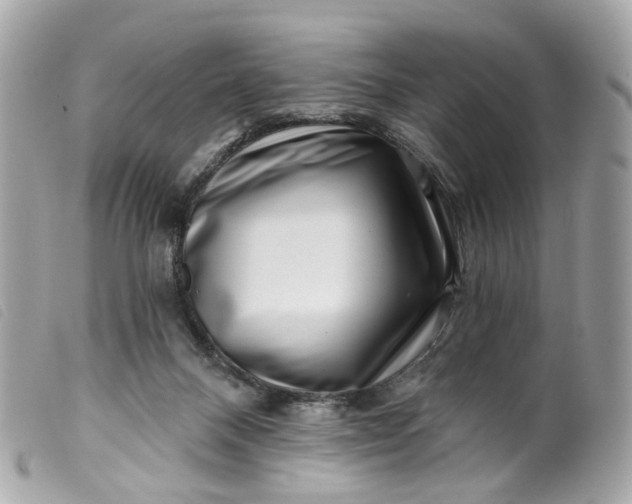 X0000099540120200805301508