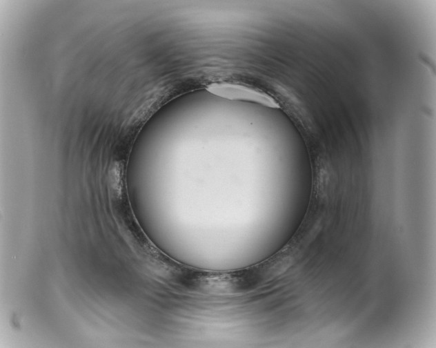 X0000099540121200805301508