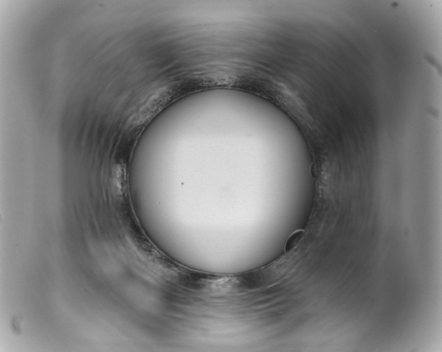 X0000099540122200805301508