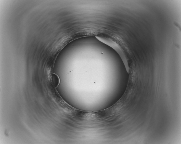 X0000099540123200805301508