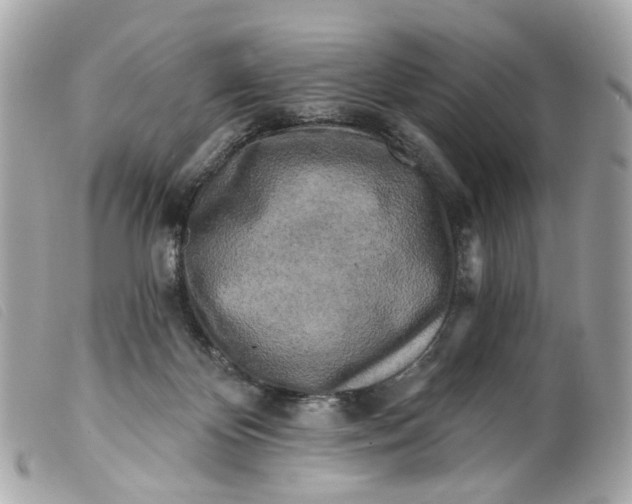 X0000099540124200805301508