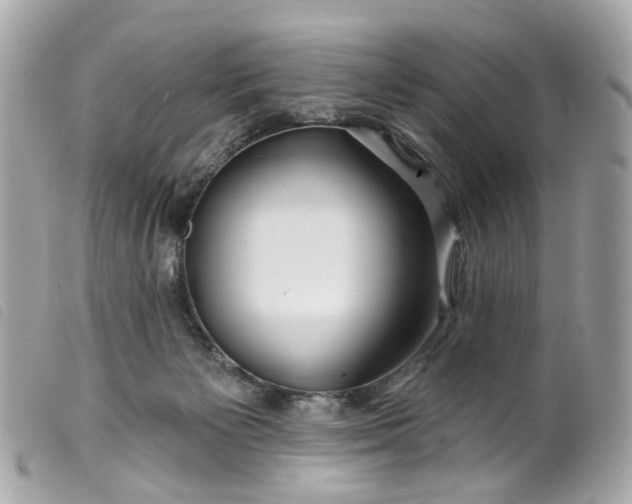 X0000099540125200805301508