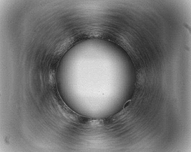 X0000099540126200805301508