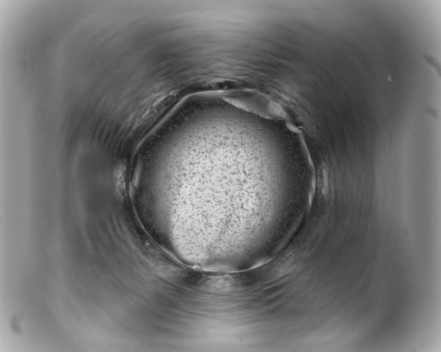 X0000099540127200805301508