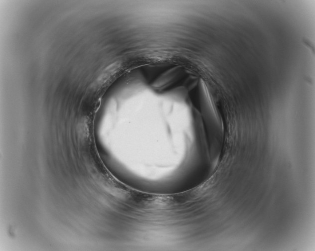 X0000099540128200805301508