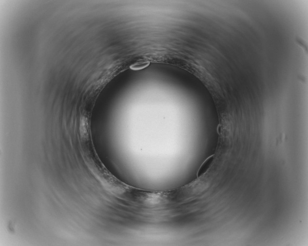 X0000099540130200805301508