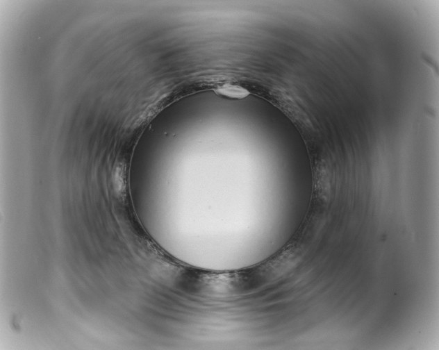 X0000099540131200805301508