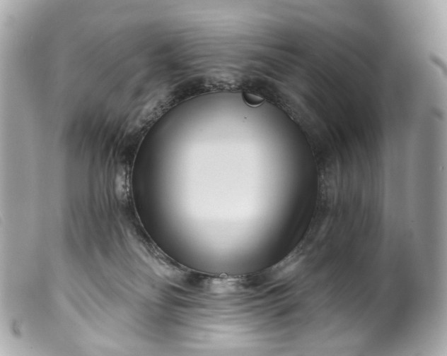 X0000099540134200805301508