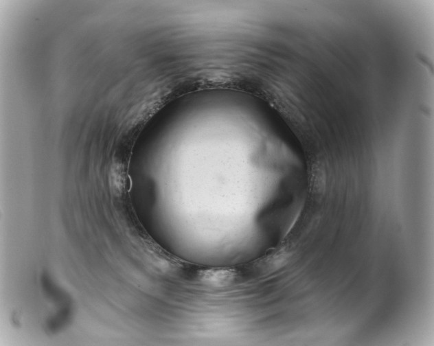 X0000099540135200805301508