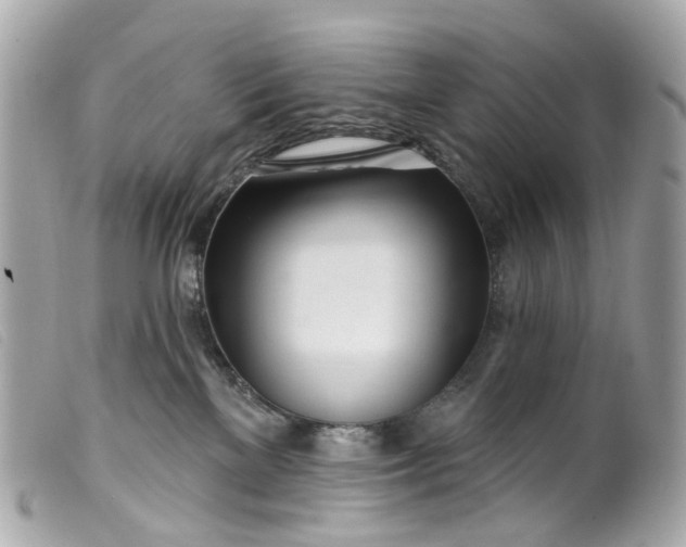 X0000099540137200805301508