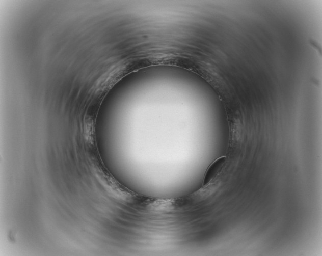 X0000099540138200805301508