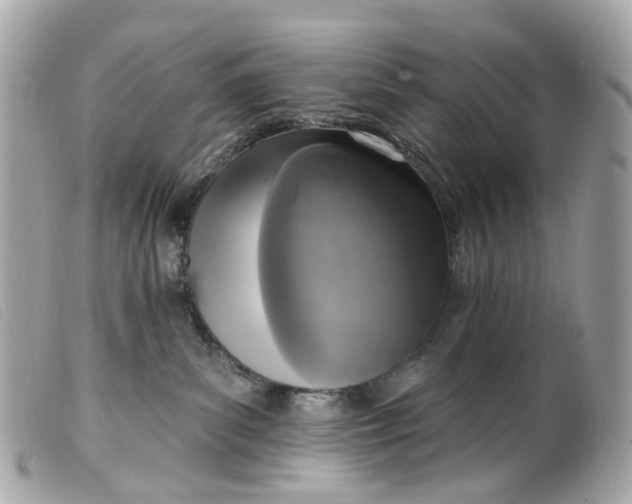 X0000099540139200805301508