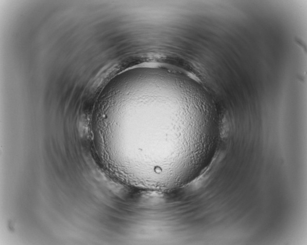 X0000099540140200805301508