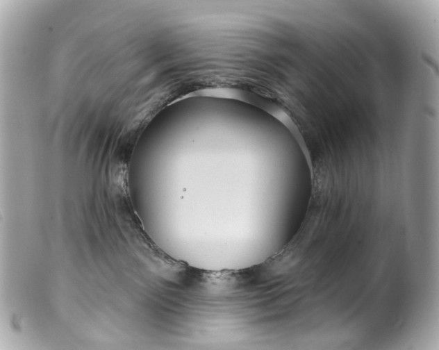 X0000099540141200805301508