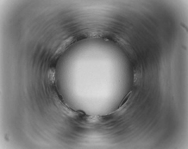 X0000099540142200805301508