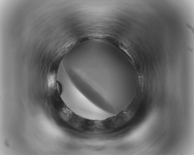 X0000099540143200805301508