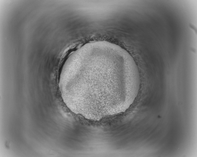 X0000099540144200805301508