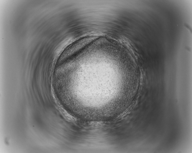 X0000099540145200805301507