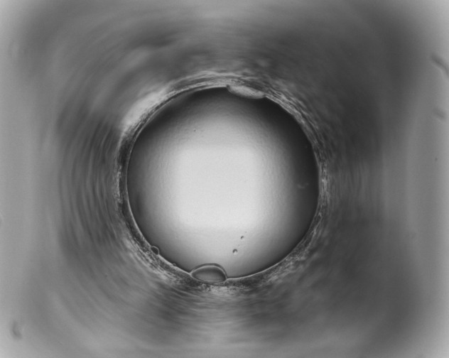 X0000099540149200805301507