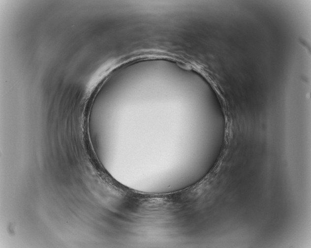 X0000099540151200805301507