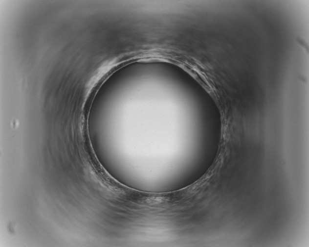 X0000099540152200805301507