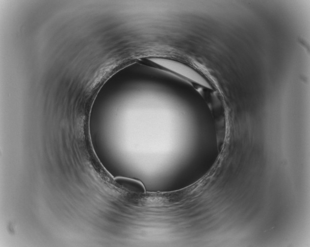 X0000099540154200805301507