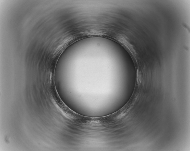 X0000099540157200805301508