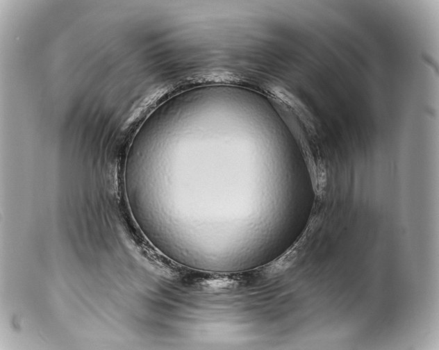 X0000099540158200805301508