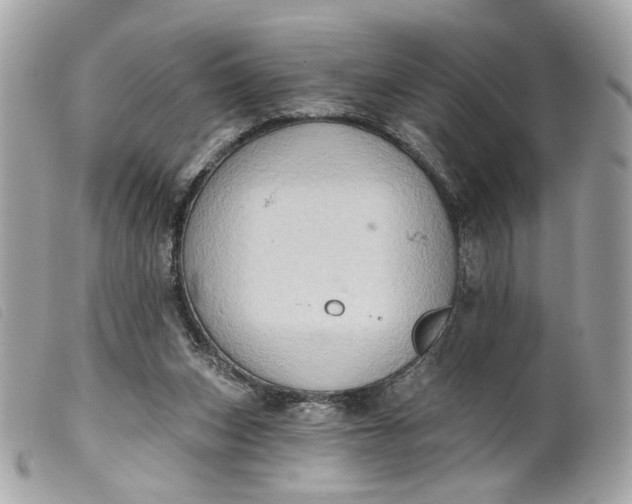 X0000099540159200805301508