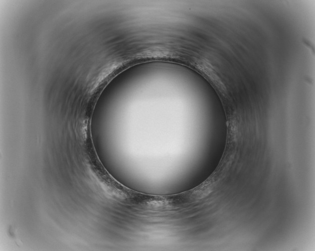 X0000099540160200805301508