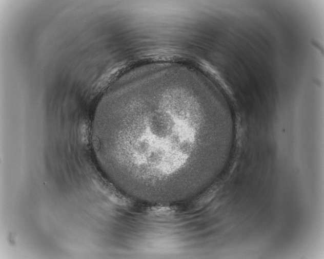 X0000099540161200805301508