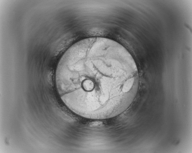 X0000099540162200805301508