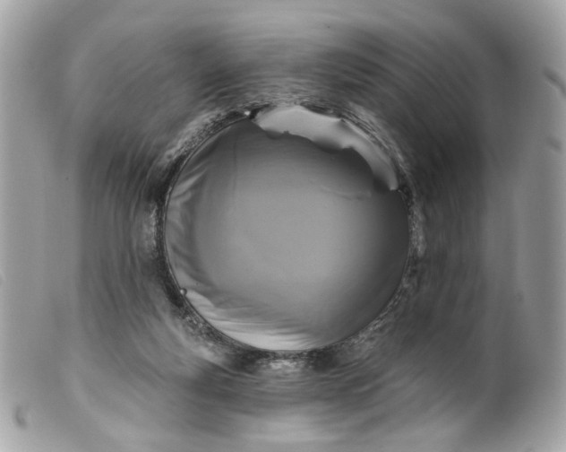 X0000099540163200805301508