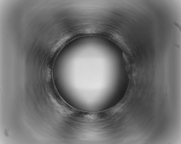 X0000099540164200805301508