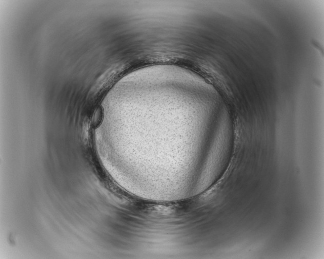 X0000099540166200805301508