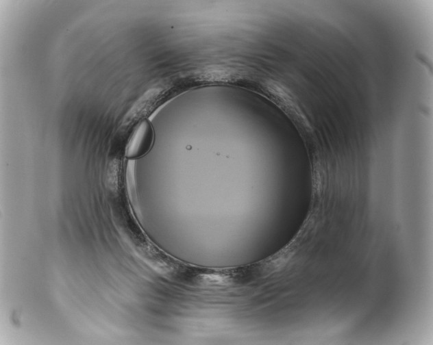 X0000099540167200805301508