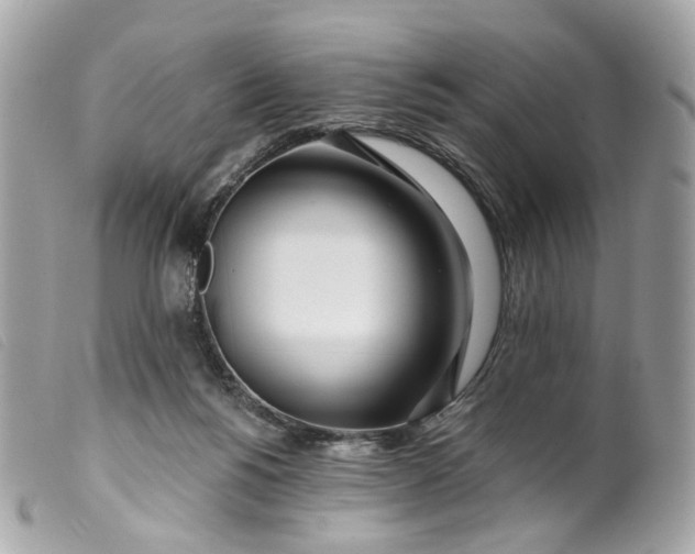 X0000099540168200805301508