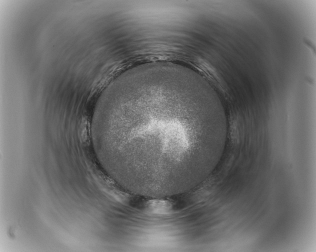 X0000099540169200805301508