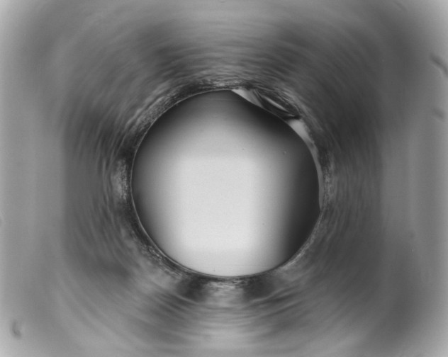 X0000099540170200805301508