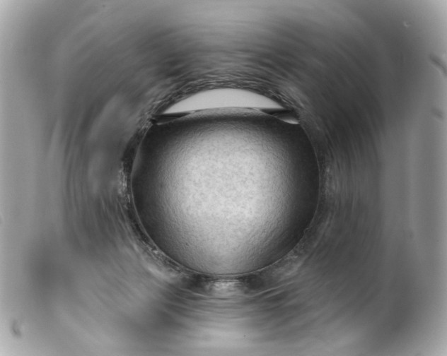 X0000099540173200805301508