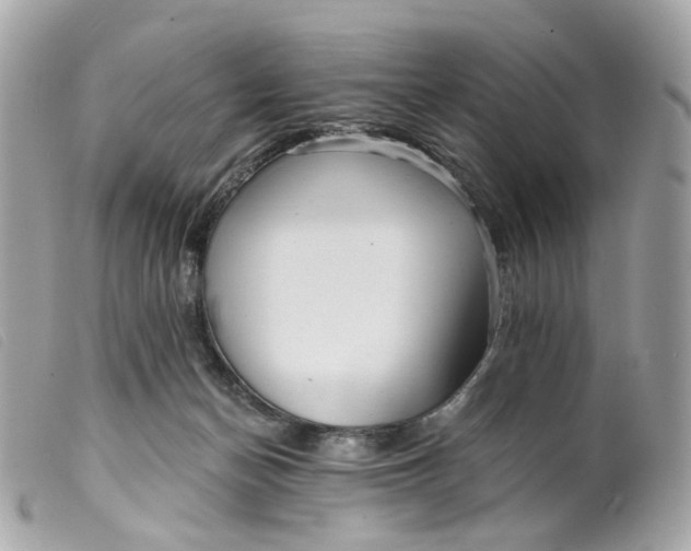 X0000099540174200805301508