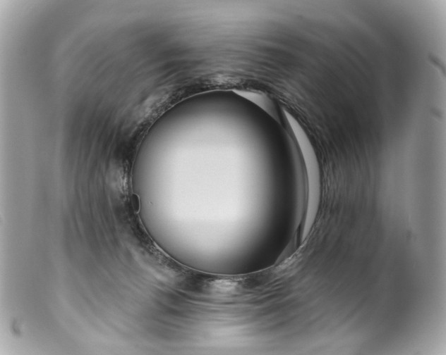 X0000099540176200805301508