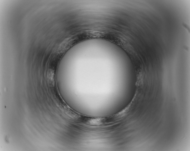 X0000099540178200805301508