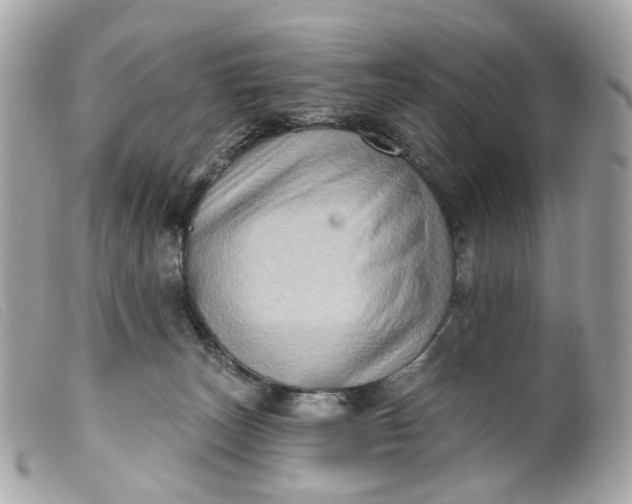 X0000099540179200805301508