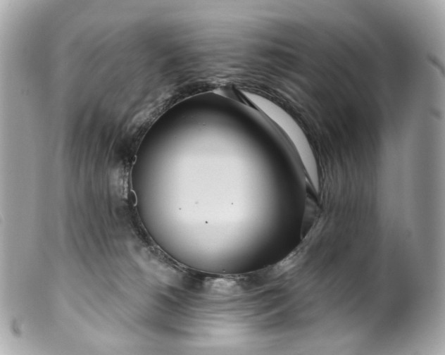 X0000099540180200805301508