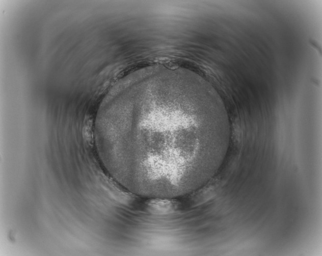 X0000099540181200805301508