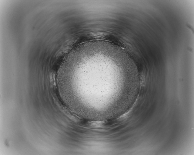 X0000099540182200805301508