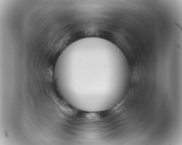 X0000099540183200805301508