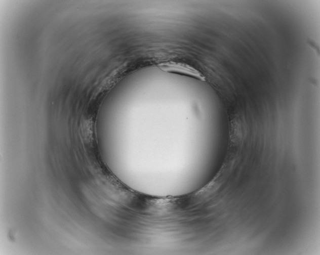 X0000099540184200805301508